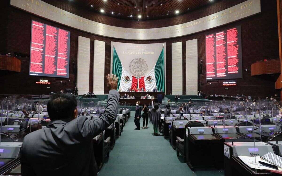 cámara de diputados 1