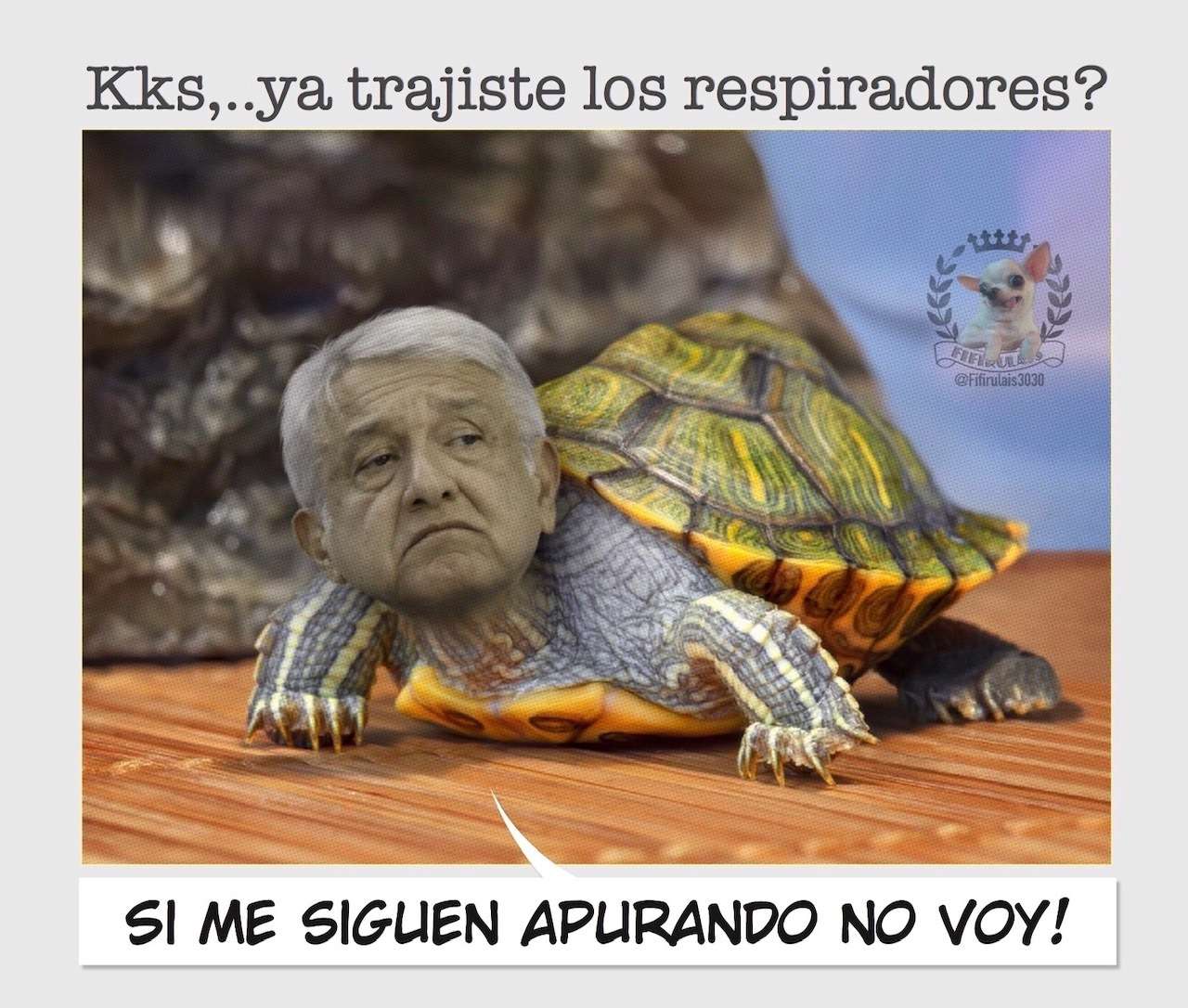 tortuga