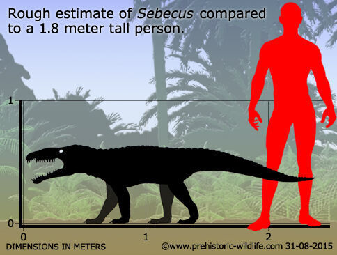 seb03
