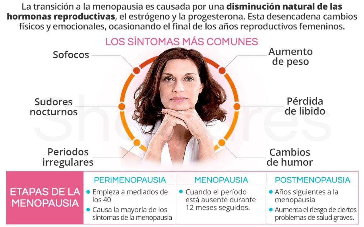 transicion a la meno 2