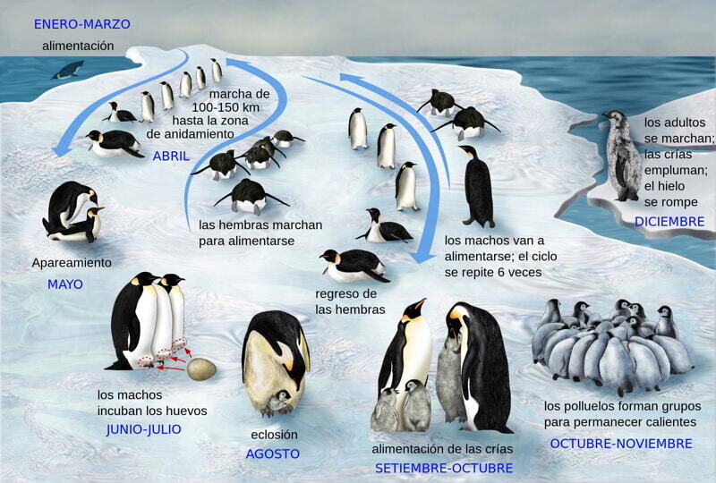 pin02