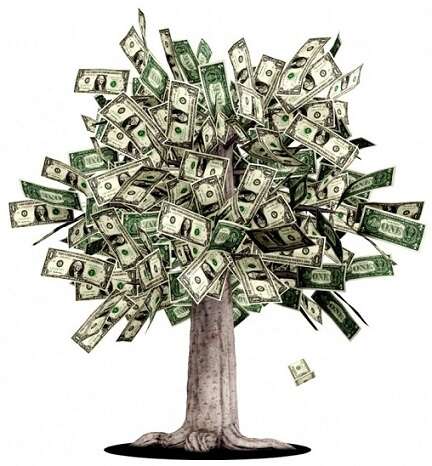 301 arbol