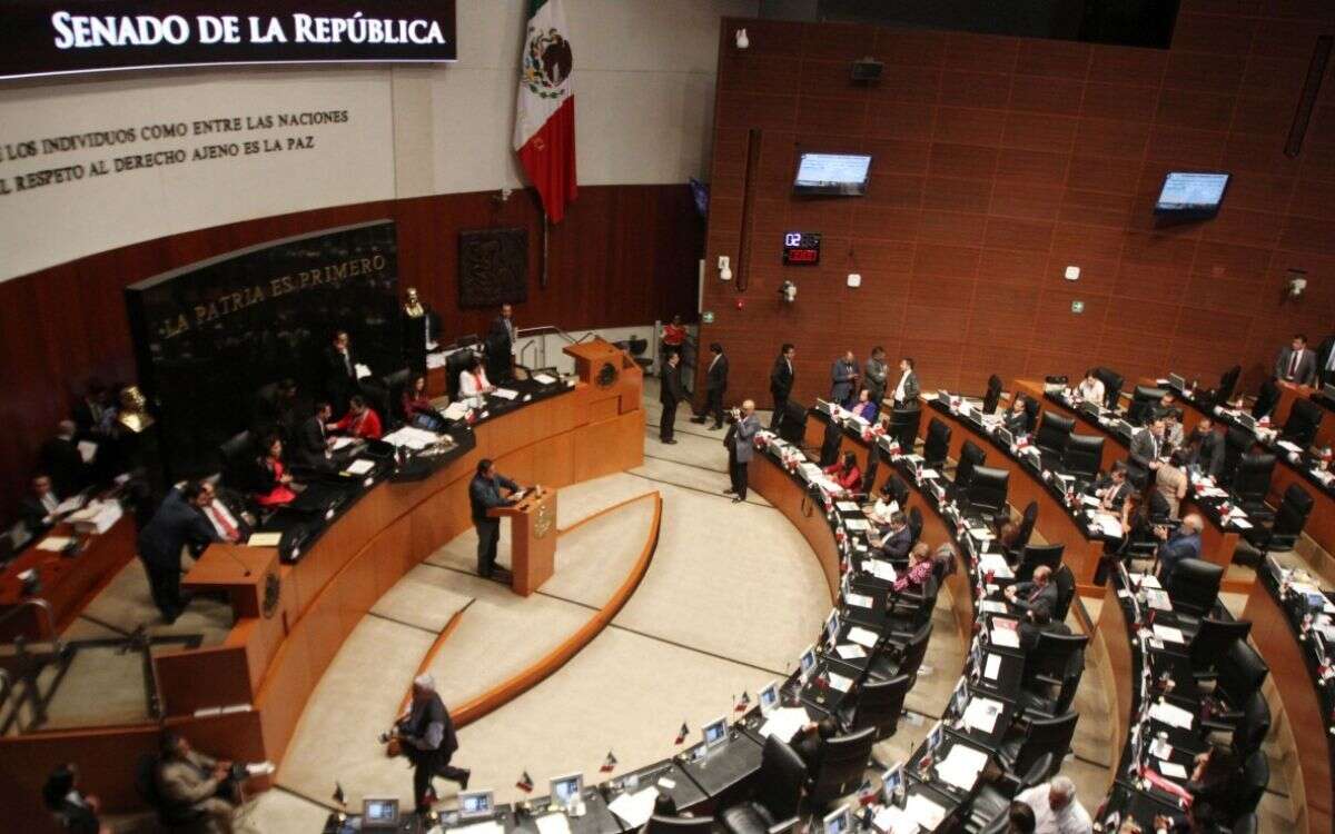 Senado 1