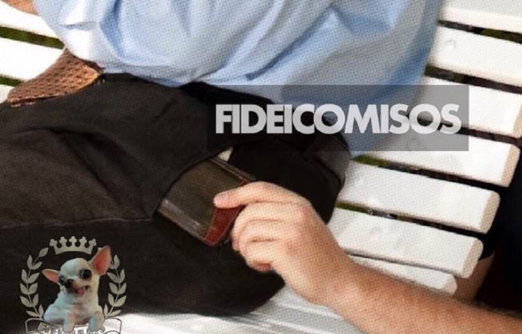 Más de setecientos mil millones a engrosar su partida secreta. Ya ven que sí le cayó como anillo al dedo la pandemia.
