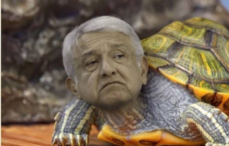 ¡Nuestro modelo será adoptado en todo el mundo!