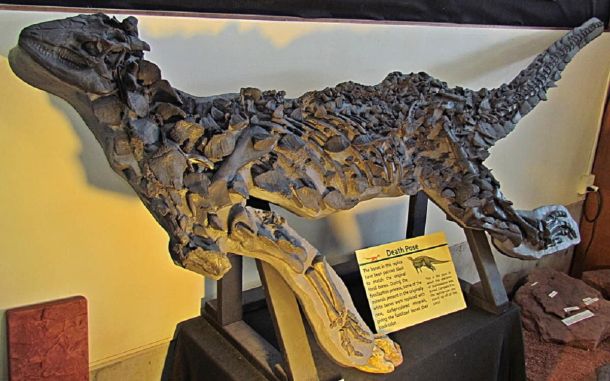 Scelidosaurus harrisonii, un viejo conocido.