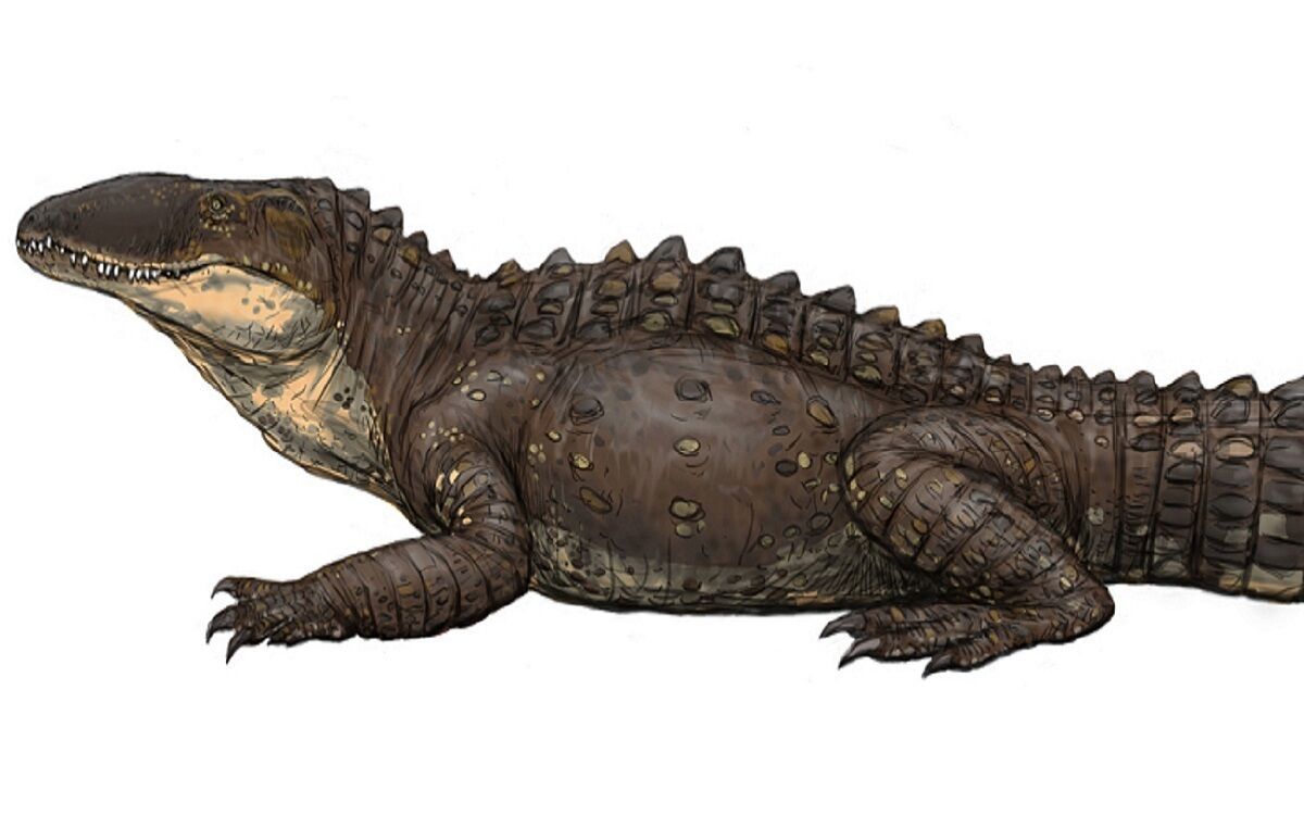 Sebecus icaeorhinus, ¿el dinosaurio sobreviviente?
