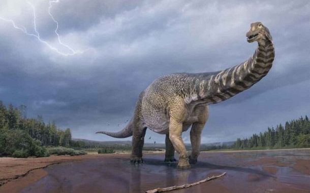 Australotitan Cooperensis, el titanosaurio australiano más grande.