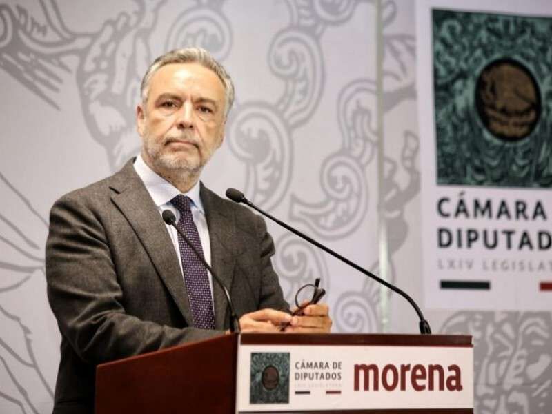 Presidente de MORENA agitador profesional