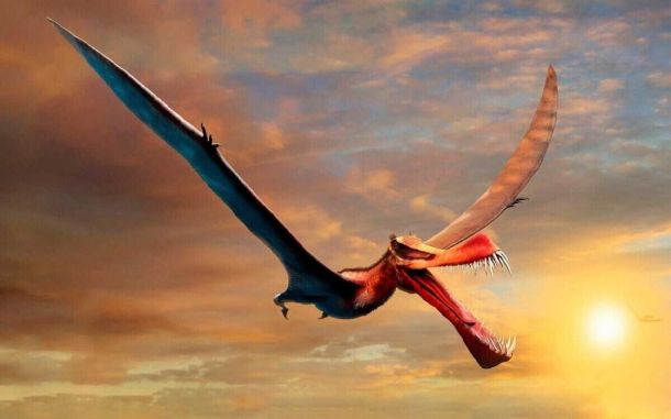 Thapunngaka shawi, el dragón australiano.
