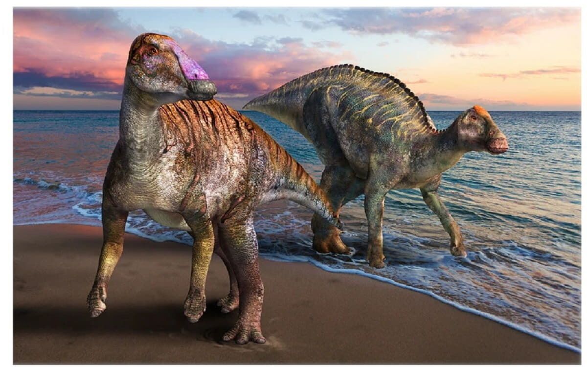Yamatosaurus Izanagii, nuevo dinosaurio pico de pato.