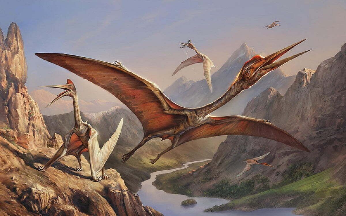 Quetzalcoatlus northropi, ¿el animal volador más grande?
