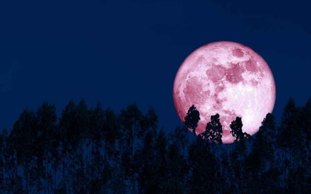 Superluna rosa y Líridas este mes