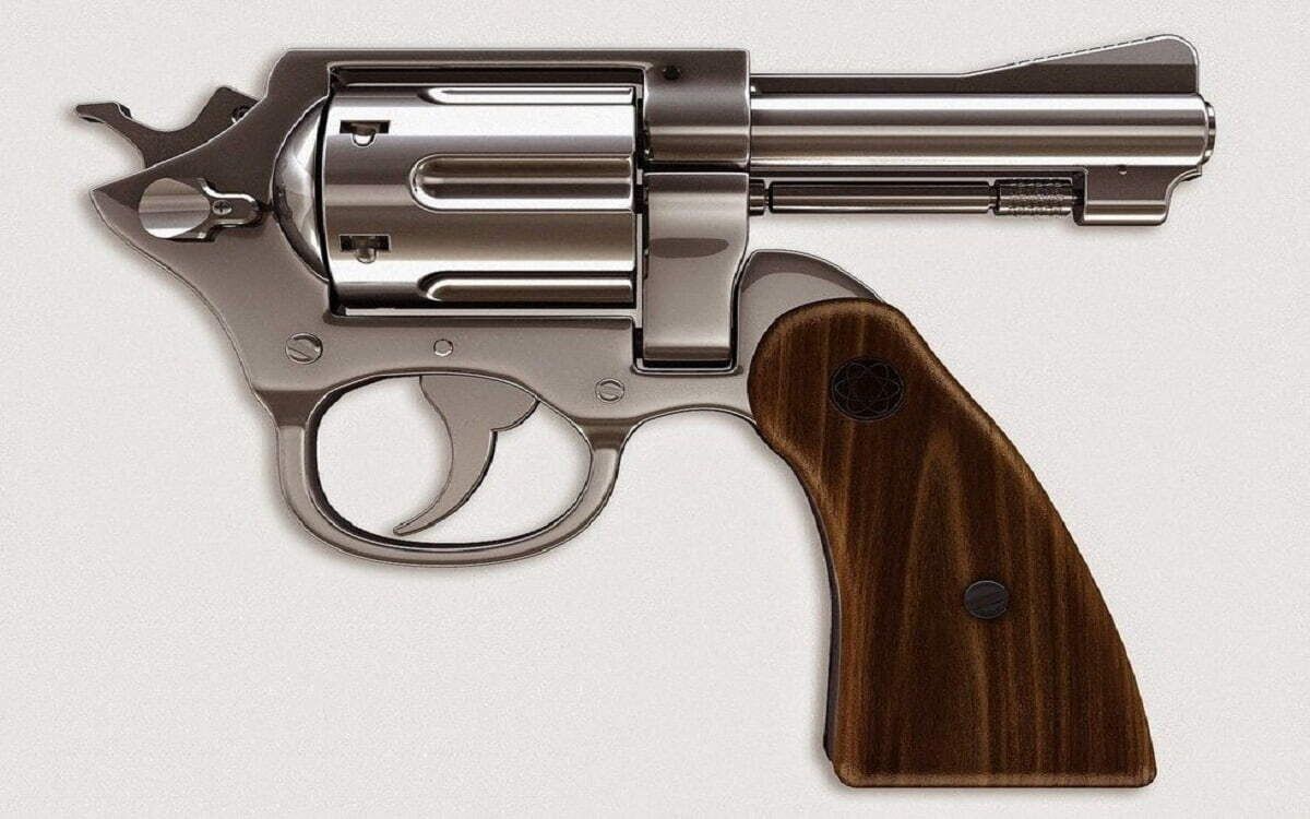 El voto es un arma….cargada