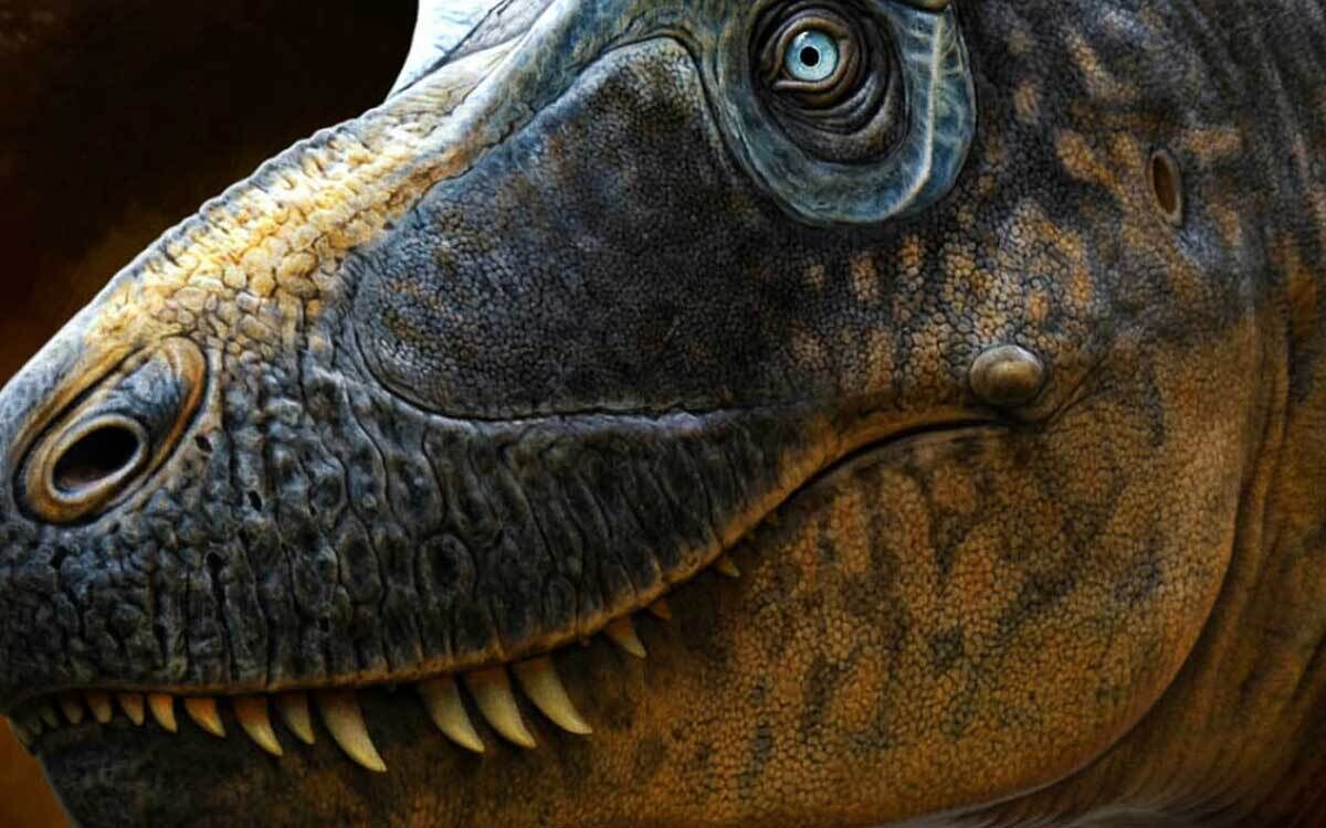 Sísifo, el abuelo del T-Rex  Un tiranosáurido más temible que el propio T-Rex, #JuevesDeDinosaurios